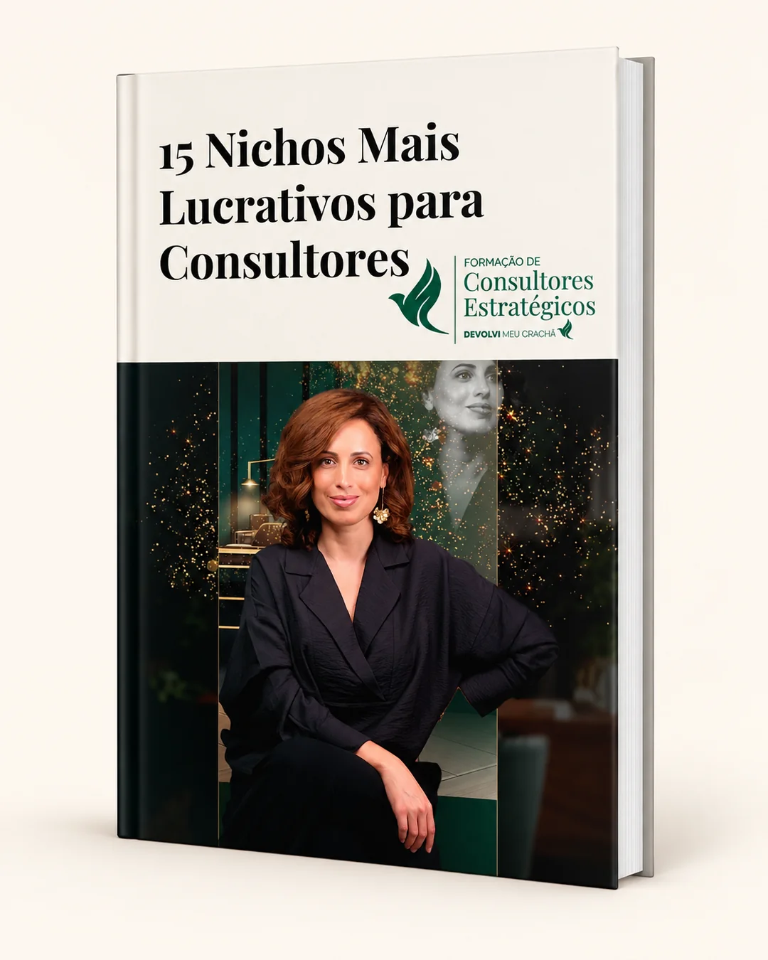Mockup do guia digital 15 Nichos Mais Lucrativos para Consultores