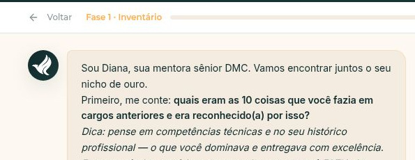 Conversa guiada com Diana sobre experiência profissional